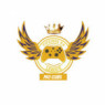 2ª Copa FPA