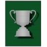 Campeonato Muribequense de Futebol de 2013 - Série A