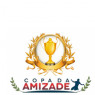 COPA UNIÃO E AMIZADE FIFA 20 PRO CLUBS XBOX ONE