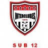 SUB 12 - MÓDULO AMARELO