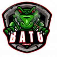 Team image