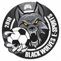 Team image