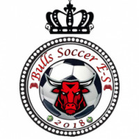 Team image
