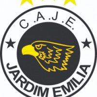 Team image