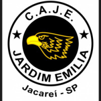 Team image