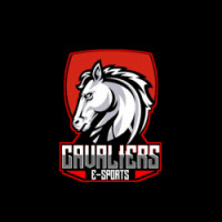 Team image