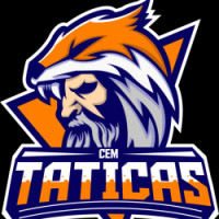 Team image