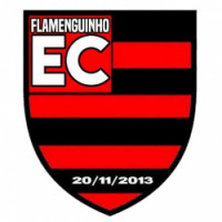 Team image