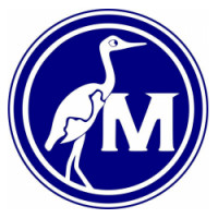 Team image