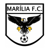 Team image