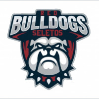 Team image
