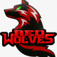 Team image