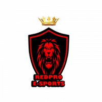 Team image