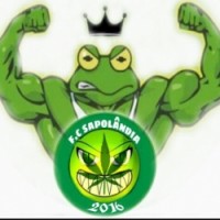 Team image