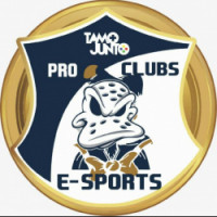 Team image
