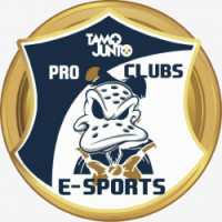 Team image