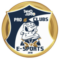 Team image