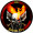 Falcon Fire E-Sports