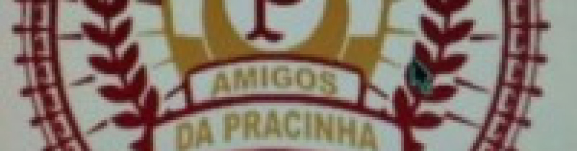 AMIGOS DA PRACINHA