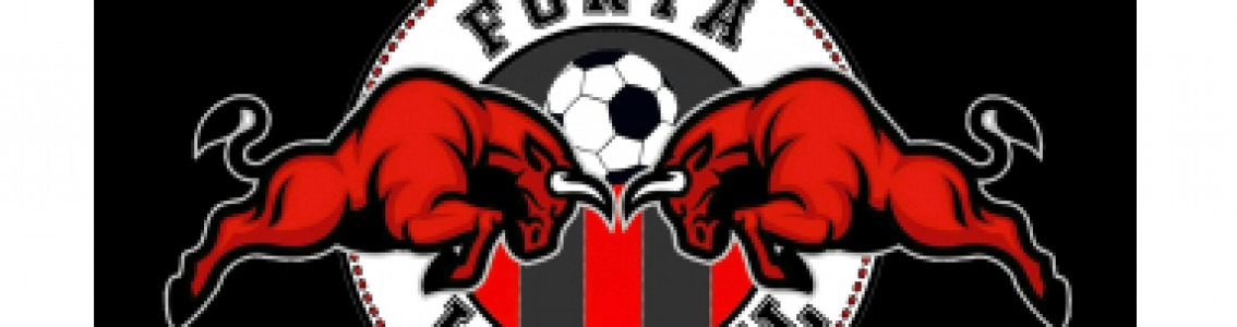 Furia Imortal