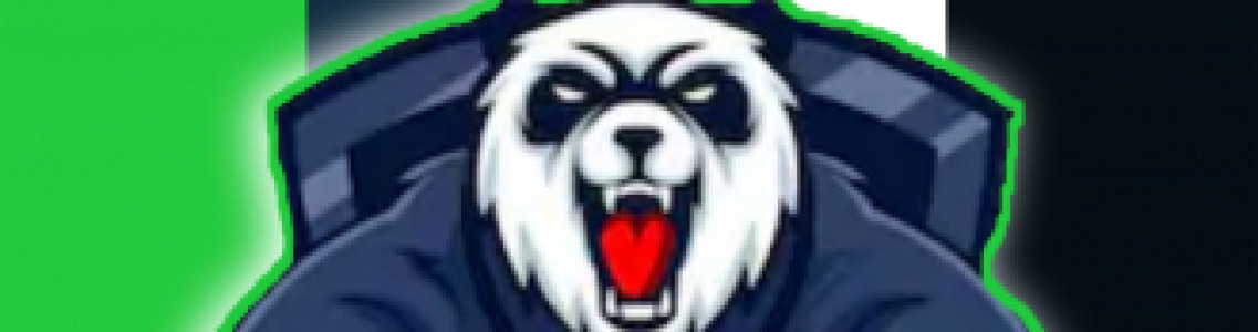 Pandas E-sports Team