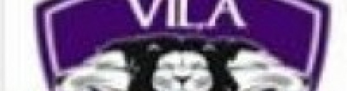 VILA CITY
